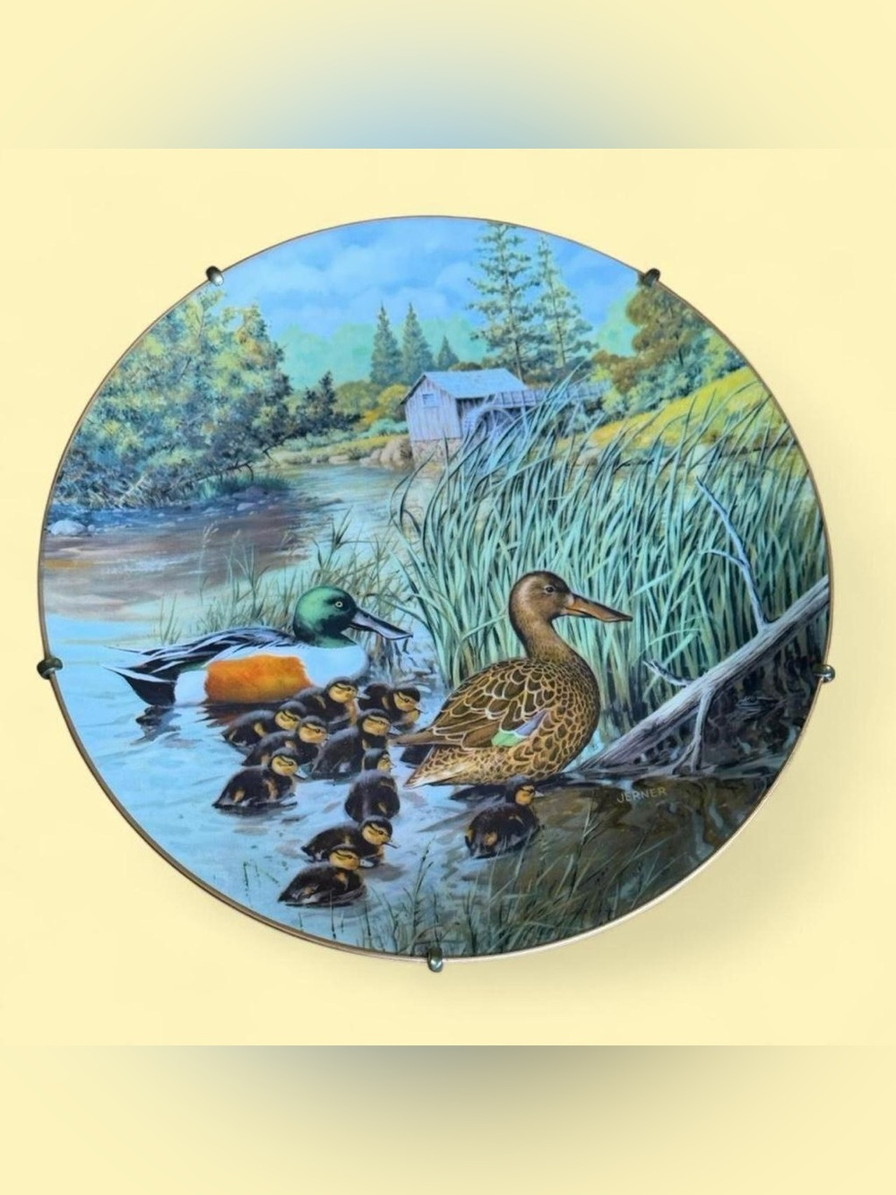 VINTAGE 1987 Knowles "The Northern Shoveler" Collector Plate by Bart Jerner